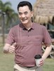 【YW】无忧购夏季凉感透气百搭珠地棉简约条纹休闲中老年爸爸POLO衫8803(截单后7天发货) 商品缩略图4