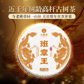 【班章王】近千年树龄高杆古树茶，炸裂来袭！与老班章同一山脉，古寨春独家资源片区 357克/饼 5饼/提