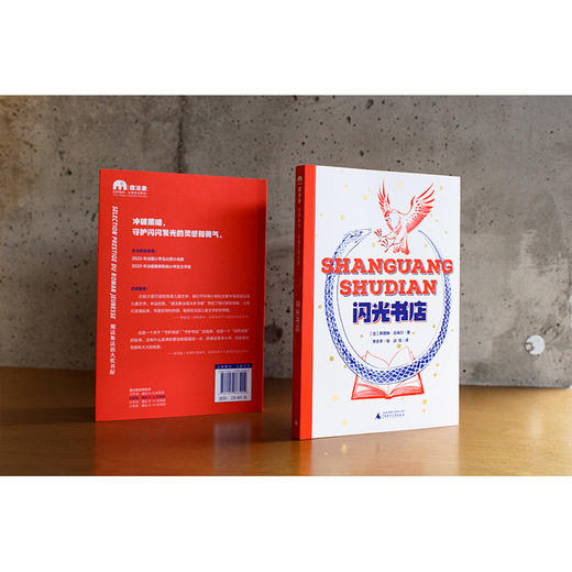 【独秀书香卡】魔法象·故事森林·法语大奖书屋（第二辑）  闪光书店  8~12岁  儿童小说  儿童文学 商品图4