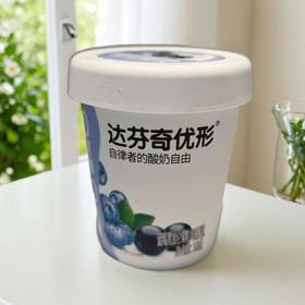 达芬奇塑杯优形蓝莓黑加仑果粒风 320g/杯