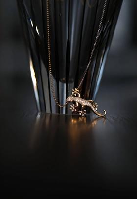 守宫｜守财，守家，守运