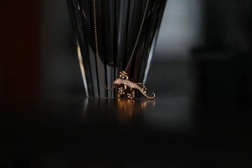 守宫｜守财，守家，守运 商品图2