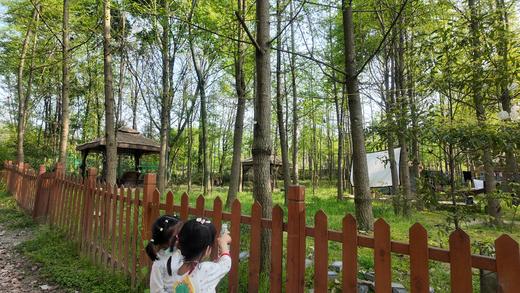 【都江堰-553号院】单房预定，8房湖畔森林独栋花园木屋，带庭院，可垂钓，机麻k歌！xh 商品图3