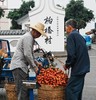 5.19【高州】荔枝、信宜三华李特色风光人文5天拍摄之旅 商品缩略图0