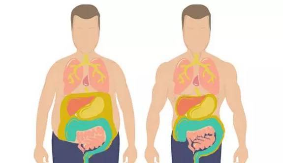 内脏脂肪厚有哪些危害？__凤凰网