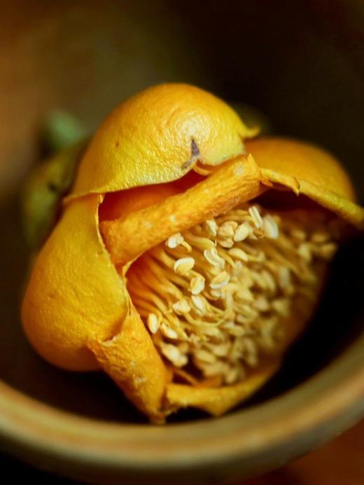 羊毛闪电团||1罐78，2罐只要88【逐南味】东方金花茶 珍惜如金 东方之韵 清新自然 顺滑回甘 被低估的养生花茶 商品图8