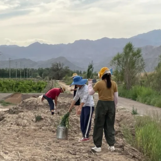 义工两周｜田园梦可能只是无病呻吟