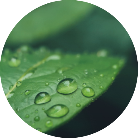 《7日压力舒缓冥想》-玛吉薇蒳