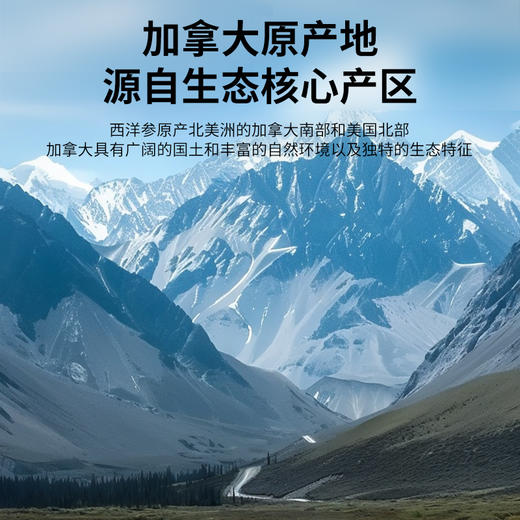 【正宗同仁堂品牌】北京同仁堂  青源堂 加拿大西洋参1#选片 1.6-2.0cm 120g(30×4) 优质切片 手工筛选 SY 商品图7