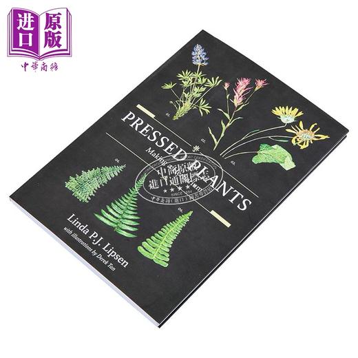 【中商原版】压制植物 植物标本制作指南 手工DIY Pressed Plants Making a Herbarium 英文原版 Linda P J Lipsen  商品图1