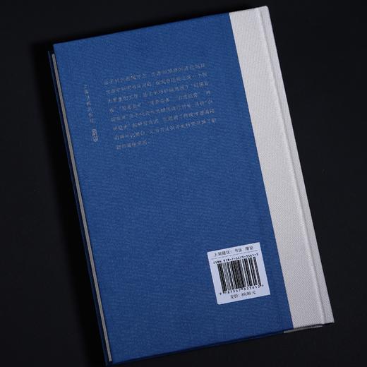 《视阈与阐释：清代题跋中的书法批评观念嬗变》 商品图2