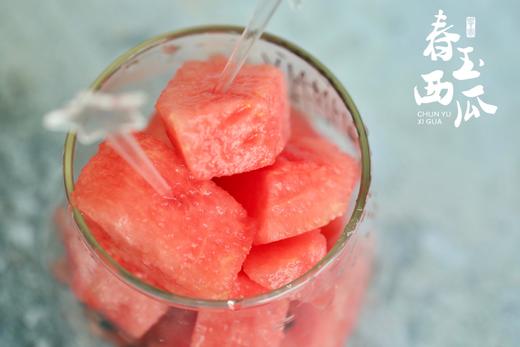 春玉西瓜 商品图1