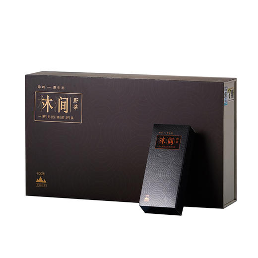 隐岭·林涧 |166g礼盒 | 10小盒|20泡装 商品图0