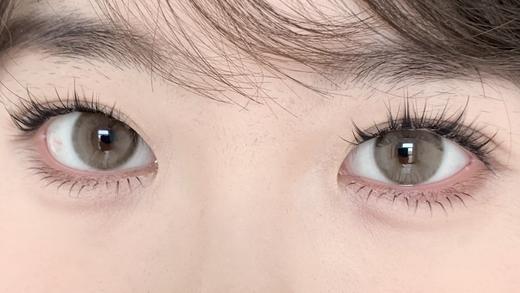 Serltyca半年抛-青木米灰（灰棕） 商品图9