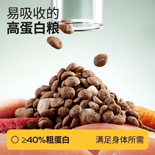 高爷家益肠动力猫粮/烘焙猫粮1.5kg多包组合4.5kg/10.5kg自选 商品图3