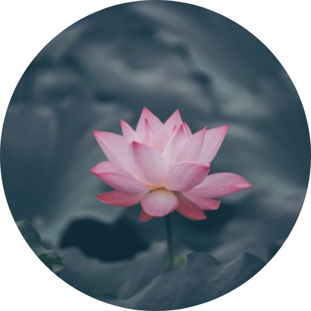 《FocusZen科学正念冥想》-Felicia