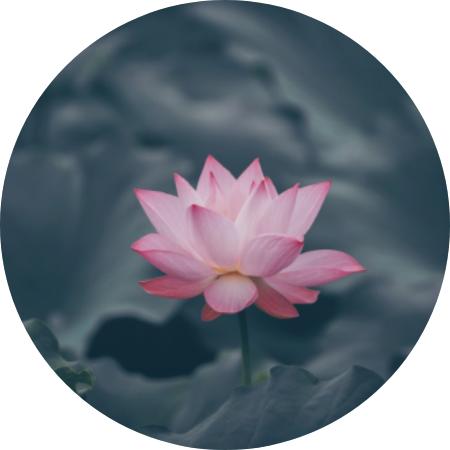 《FocusZen科学正念冥想》-Felicia 商品图0