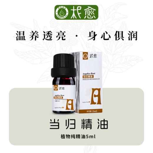 【柅愈】当归纯精油5ml  温养透亮   单方纯精油  扩香/熏香/调油 商品图0