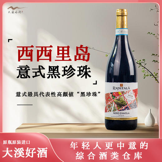 莱比泰黑珍珠干红葡萄酒 商品图0