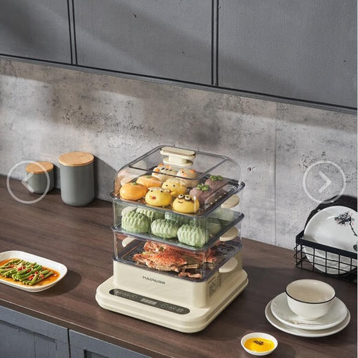 海牌不锈钢电蒸笼_HP-Z20A【K】 商品图4