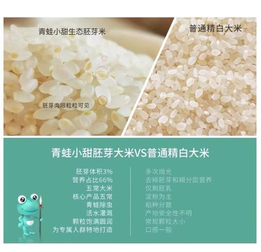 青蛙小甜生态胚芽米 2.5kg【保质期180天，开封后0-6℃密封冷藏】✅ ​​胚芽保留率＞80%​​——B族维生素+膳食纤维爆表 商品图5