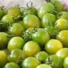 石家庄优选仓库速达，青甜小番茄，一口爆汁，皮薄肉嫩，口感脆甜爽口，香甜浓郁，净重约2斤礼盒装 商品缩略图3