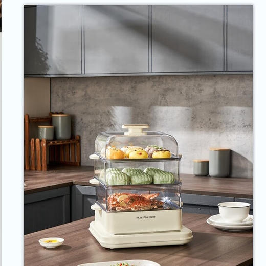 海牌不锈钢电蒸笼_HP-Z20A【K】 商品图0