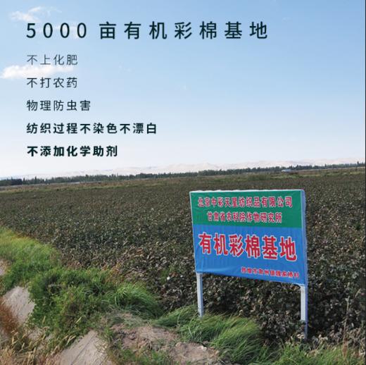 【断码清仓】素道有机彩棉 情侣保暖套装 男女针织纯棉内衣长袖  商品图3