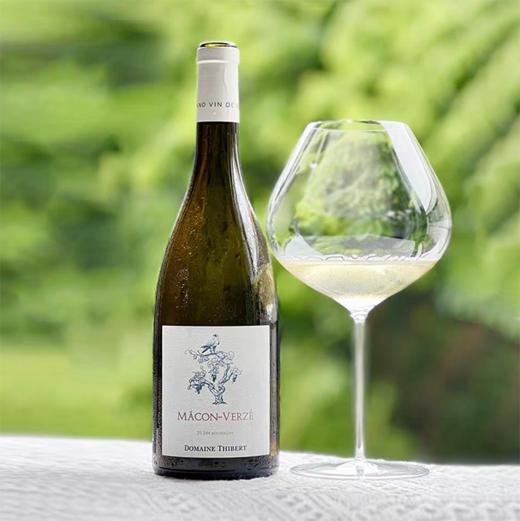 网红“弓字脸”一脉同源！双鸡平替款 蒂贝酒庄马贡韦泽干白 Domaine Thibert Macon-Verze 2019 商品图1
