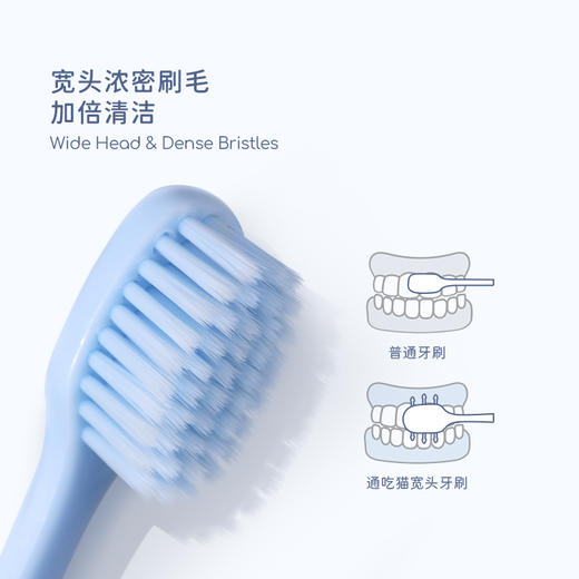 【马泷专属】Tonochi通吃猫-Macaron成人宽头牙刷（4支起售） 商品图2
