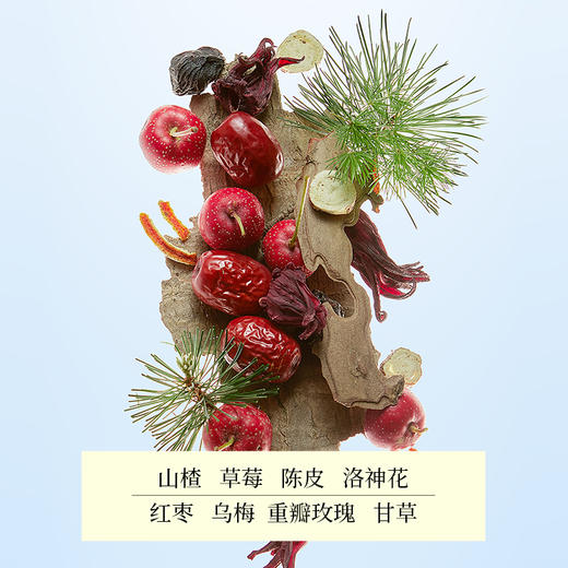 好望水 气泡果汁饮料 玻璃瓶系列 300ml*6 商品图3