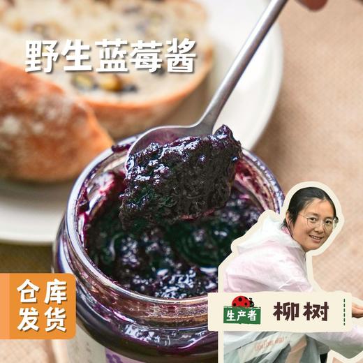 野生蓝莓酱 165g/罐 | 合作农友生产，来自黑龙江大兴安岭，生产者：柳树 &【公平贸易农人定价】 商品图0