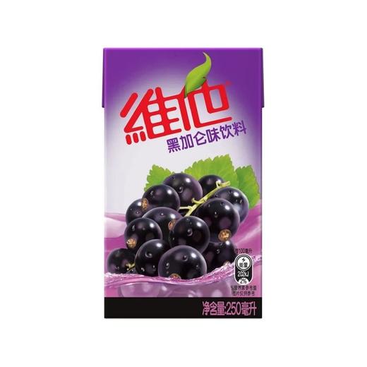 维他黑加仑味饮料250ml 商品图0