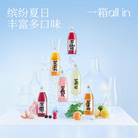 好望水 气泡果汁饮料 玻璃瓶系列 300ml*6