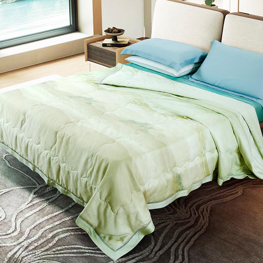 鑫缘 极爽可水洗桑蚕丝被 AEPD0320 商品图10