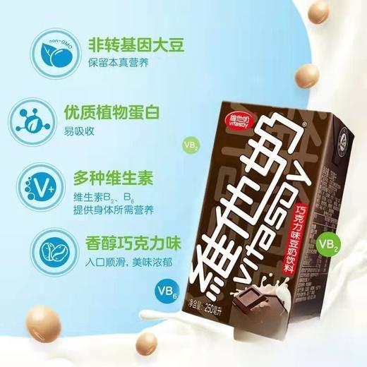 维他奶 巧克力味豆奶饮料 250ml/盒 商品图2