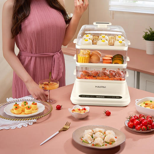 海牌多功能电蒸笼_电蒸锅Z20B米黄色【K】 商品图2