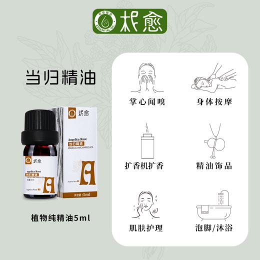 【柅愈】当归纯精油5ml  温养透亮   单方纯精油  扩香/熏香/调油 商品图2