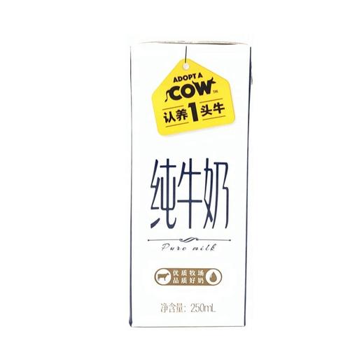 认养一头牛 纯牛奶 250ml/盒 商品图0