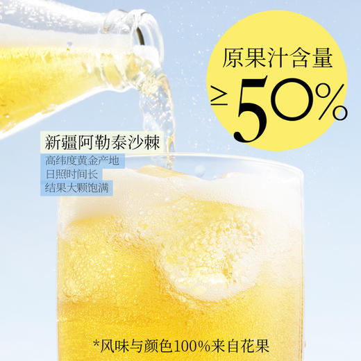 好望水 气泡果汁饮料 玻璃瓶系列 300ml*6 商品图4