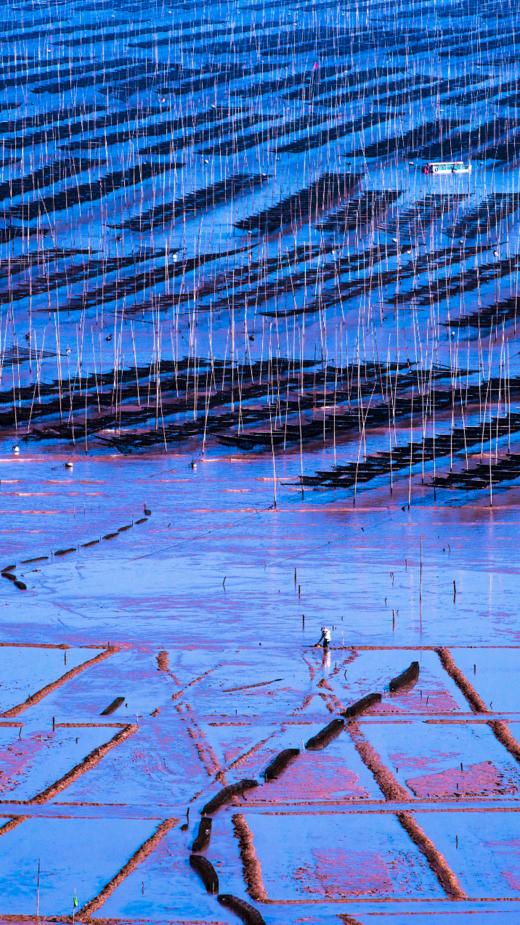 【精品摄影】“百岛仙境”——浙江洞头海岸慢门、星空星轨6天创作团 商品图4