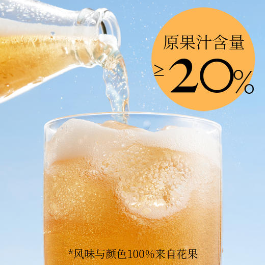 好望水 气泡果汁饮料 玻璃瓶系列 300ml*6 商品图9