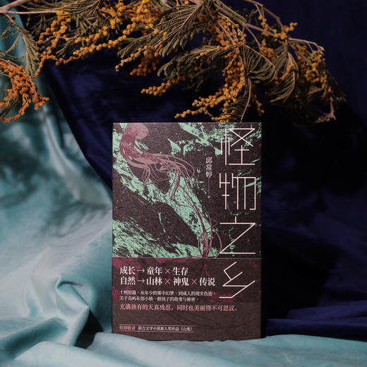 怪物之乡 横跨自然与民族、类型文学与纯文学的异质品种 商品图1