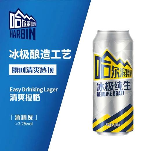 哈尔滨啤酒 冰极纯生8°P啤酒 500ml/罐 商品图3