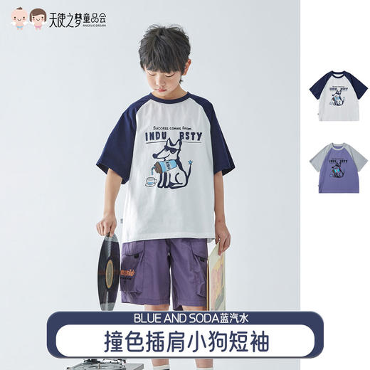 【代发】男童撞色插肩小狗短袖 蓝汽水夏季全棉针织趣味字母印花卡通白拼藏青/紫拼灰 商品图0
