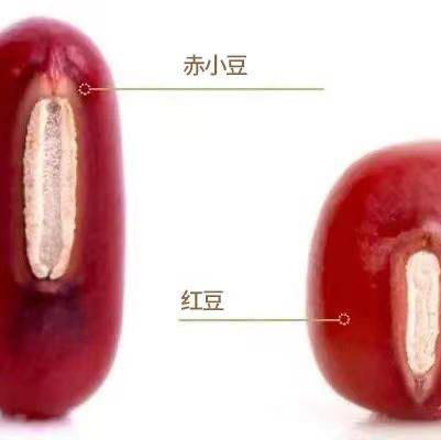 云南高原农家种植赤小豆3斤 一斤一袋真空包装 商品图6