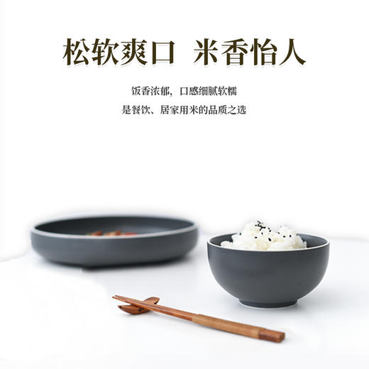 广东梅州客都优选客都米（丝苗米）5KG/袋 商品图4