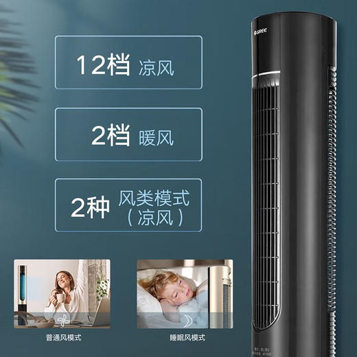格力（GREE）家用卧室办公室无叶塔扇冷暖两用落地扇负离子智能节能遥控 FL-10X61RBag(WiFi) 商品图6