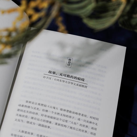 怪物之乡 横跨自然与民族、类型文学与纯文学的异质品种 商品图5