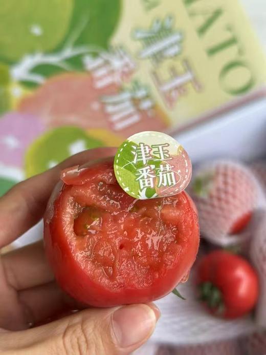 高糖番茄（3.5斤左右） 商品图0